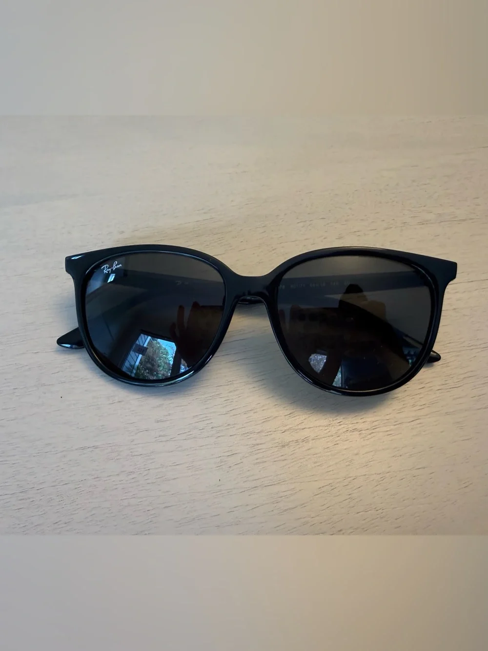 Ray-Ban Black Havana Sunglasses with Case
